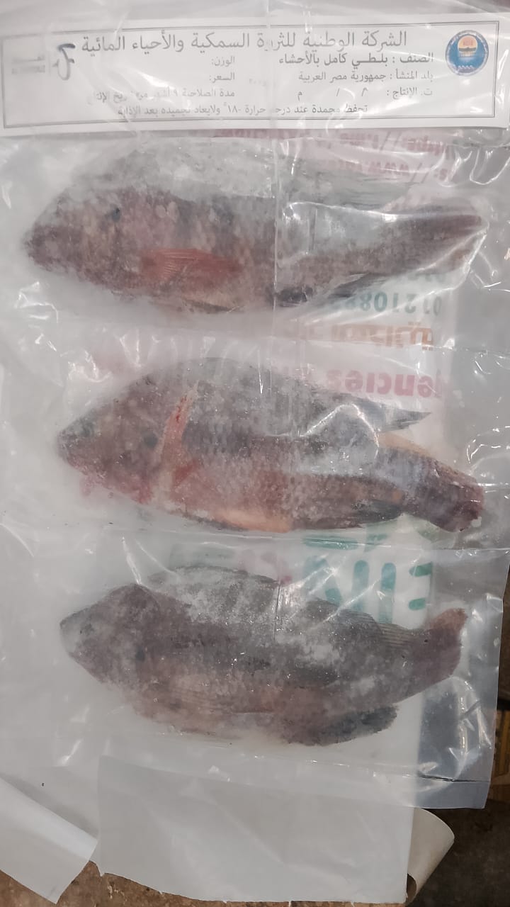 b317d80c-ffd8-4613-a1bb-9d434cb0b107